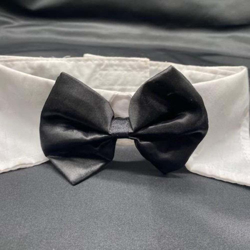 Dog Tuxedo Collar,  Fits 17"-20"